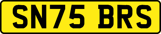 SN75BRS