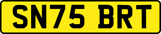 SN75BRT
