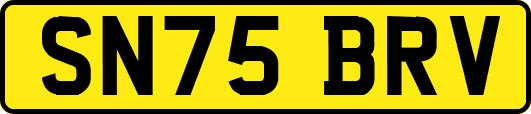 SN75BRV