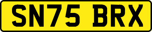 SN75BRX