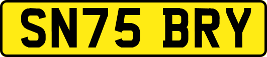 SN75BRY