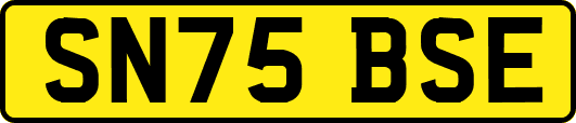 SN75BSE