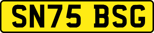 SN75BSG