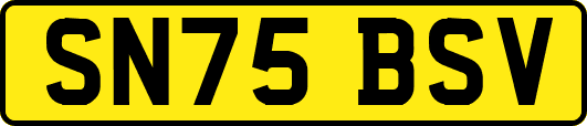 SN75BSV