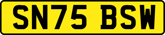 SN75BSW