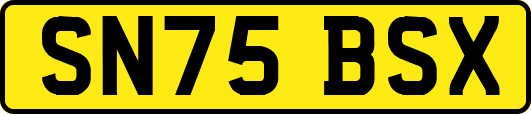 SN75BSX