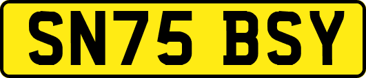 SN75BSY