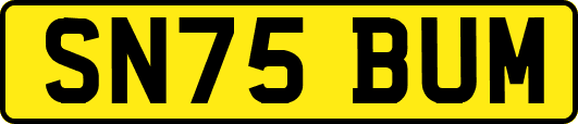 SN75BUM