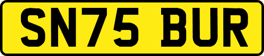 SN75BUR