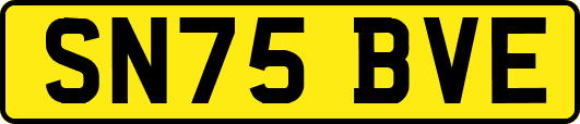 SN75BVE