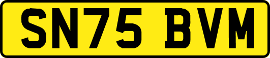 SN75BVM