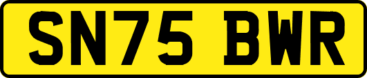 SN75BWR