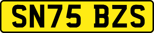 SN75BZS