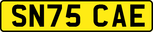 SN75CAE