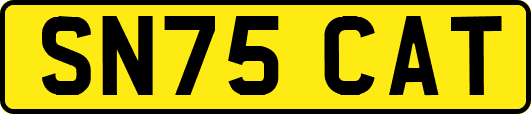 SN75CAT