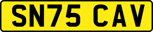 SN75CAV