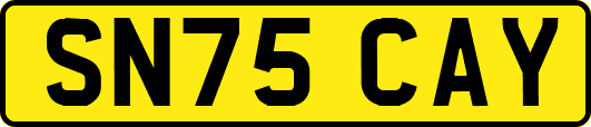 SN75CAY