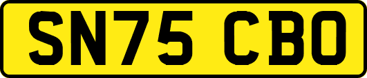 SN75CBO