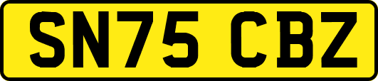 SN75CBZ