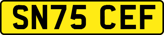 SN75CEF