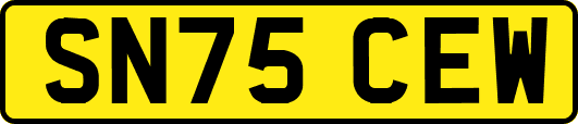 SN75CEW