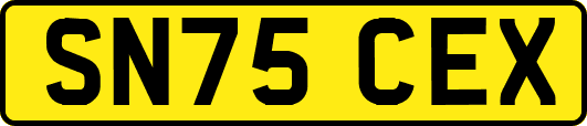 SN75CEX