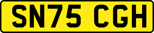 SN75CGH