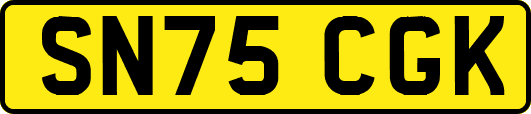 SN75CGK