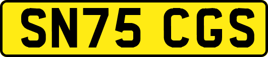 SN75CGS