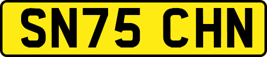 SN75CHN