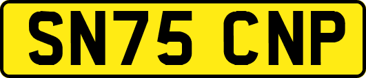 SN75CNP