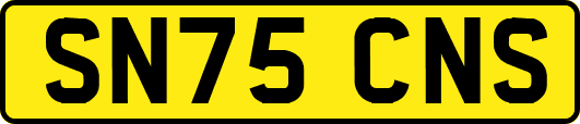 SN75CNS