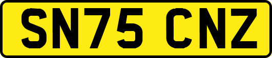 SN75CNZ