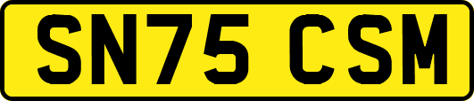 SN75CSM