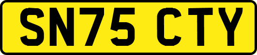 SN75CTY