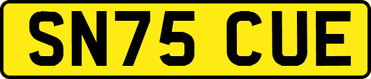 SN75CUE