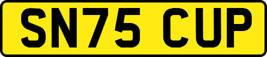 SN75CUP