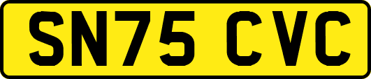 SN75CVC