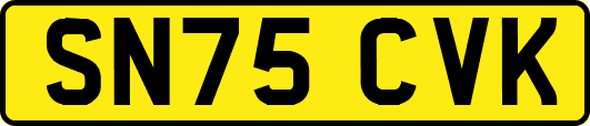 SN75CVK