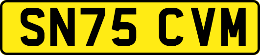 SN75CVM