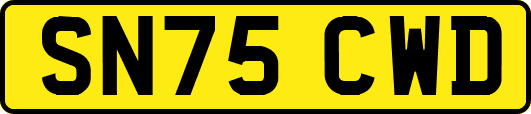 SN75CWD
