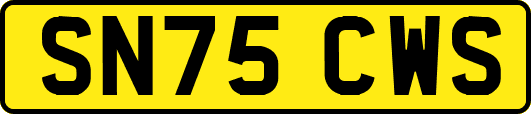 SN75CWS