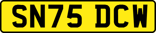 SN75DCW