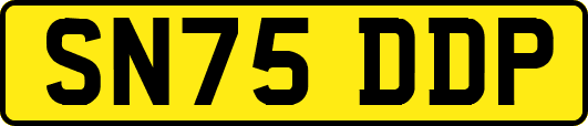 SN75DDP