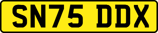 SN75DDX