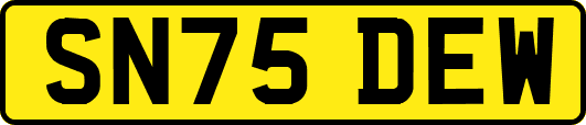 SN75DEW