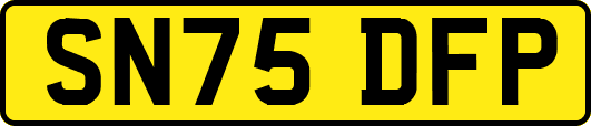 SN75DFP