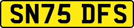 SN75DFS
