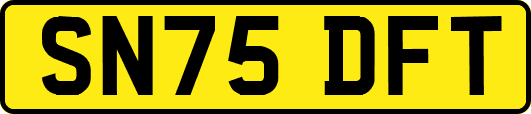 SN75DFT