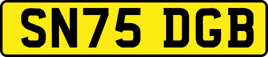 SN75DGB